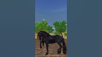 #starstable #starstableonline #sso