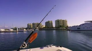 Deep Sea Fishing Trips in the United Arab Emirates (UAE)