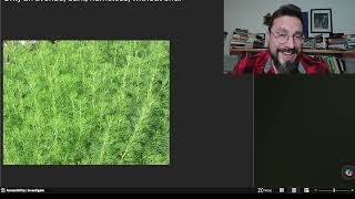 Old Man by Edward Thomas Analysis, Meaning Explained Review, Summary