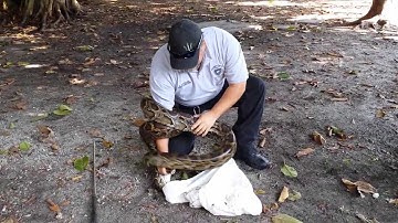Copy of My Python training with Capt Fobb and FWC