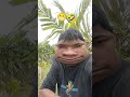 😁😂🤣 #comedy #funny #reels #video