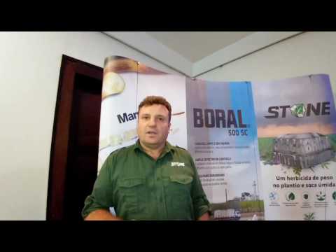 Vídeo: Quanto custa a pedra cultivada Boral?