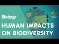 Human impacts on Biodiversity | Ecology and Environment | Biology | FuseSchool