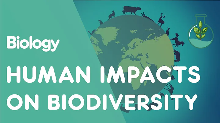 Human Impacts on Biodiversity | Ecology and Environment | Biology | FuseSchool - DayDayNews