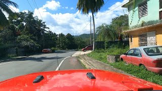 Driving Through Puerto Rico: El Yunque National Forest to Kioskos de Luquillo