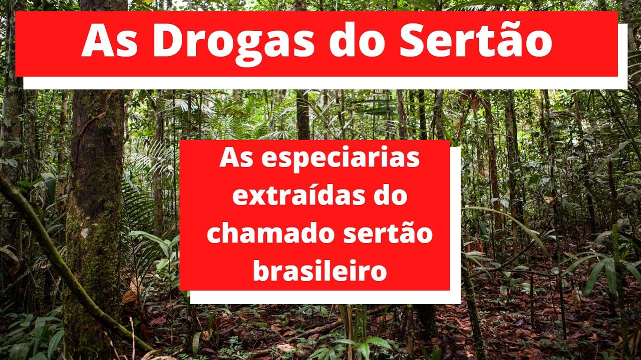 Drogas do Sertão (Os remédios ou especiarias extraídas do chamado sertão brasileiro) YouTube Drogas do Sertão (Os remédios ou especiarias extraídas do chamado sertão brasileiro) YouTube