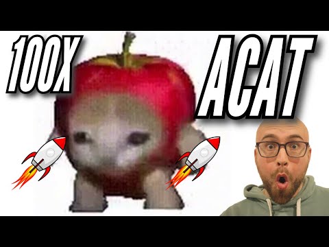 APPLE CAT ($ACAT) 🔥 SOLANA CTO MEME COIN WITH 100X POTENTIAL 🚀 THE APPLE IS A CAT 👀 TOKEN REVIEW