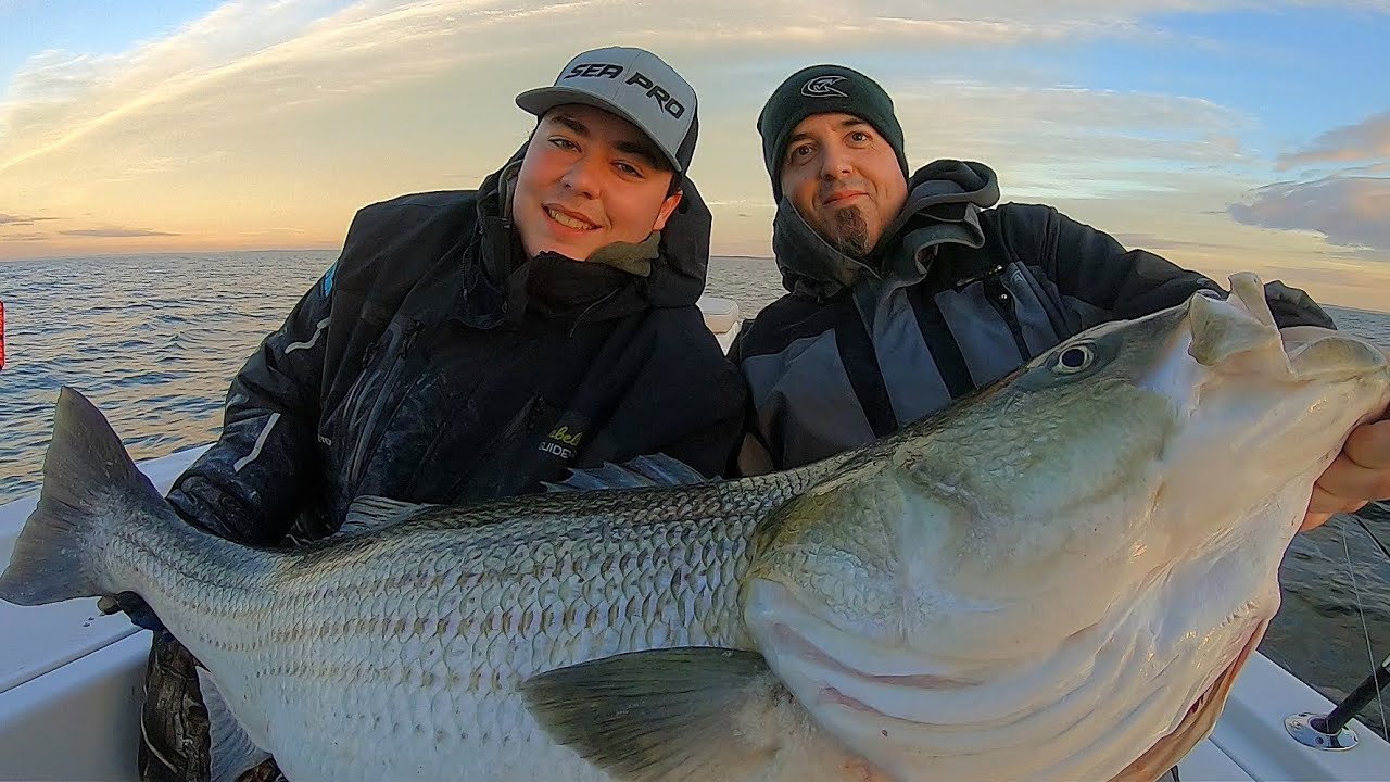 Giant Sea Bass Caught