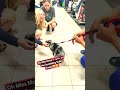 Oh Miss Moka Is A+ Today #puppy #pets #dog #training #cute #love #shorts #viral #fun #sweet #short