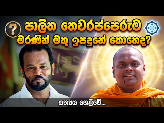 පාලිත තෙවරප්පෙරුම මරණින් මතු ඉපදුනේ කොහෙද ? #පාලිතතෙවරප්පෙරුම#PalithaThewarapperuma #මරණින්මතුජීවිතය