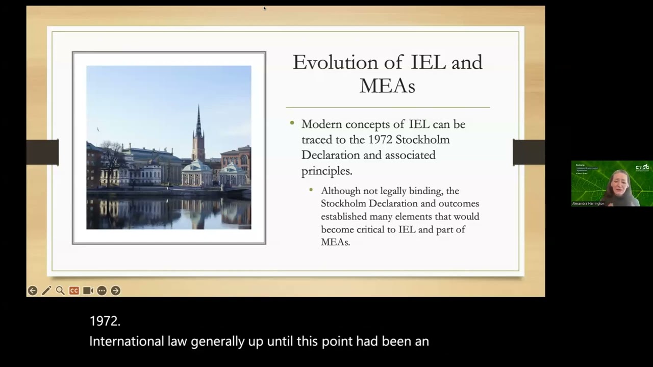 MEA Bootcamp | Module 2: International Environmental Law | Lesson 1