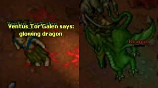 THE MYSTERY OF THE GLOWING DRAGON! (Solera 2006 7.8)