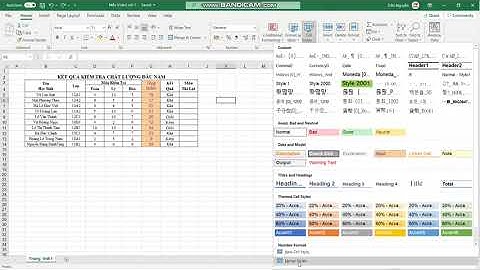 (Excel) Video 2: Sử dụng Cell Styles