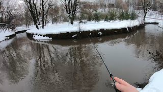 Мормышинг Зимой на Ручье.Владыкинский Ручей#мормышинг#мормоны#рыбалка