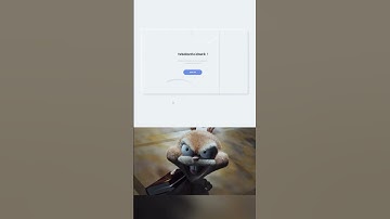 with css/without css #developer #shorts #css #programming #coding #html #viral