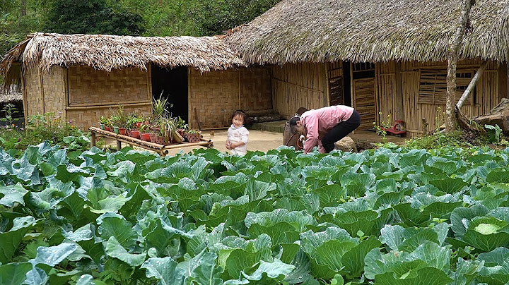 Gardening, Harvesting Vegetables, Cooking Traditional Buffalo Skin Soup, Mountain Life | EP. 31