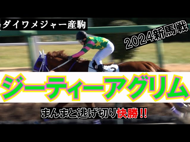 新馬戦】ダイワメジャー産駒 ジーティーアグリムが逃げ切り快勝 現地
