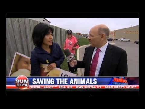 Michael Coren: Animal Activism