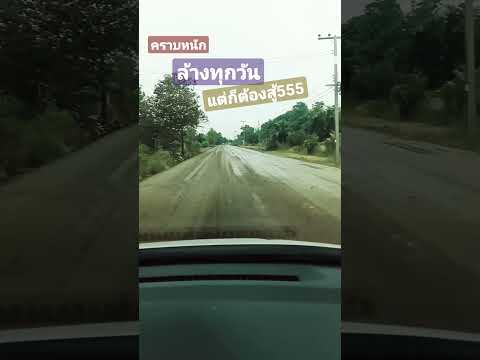 วีดีโอ: คุณจะเลือกโคลนได้อย่างไร?