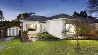 For Rent 45 Ashwood Drive Ashwood Vic 3147 - Chinese