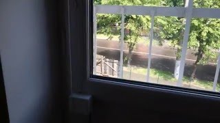 DIY roller blind automation