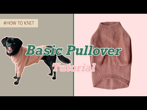 [영상 도안] 누구나 쉽게 뜨는 강아지옷 “Basic Pullover”