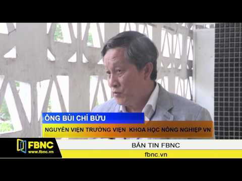 Video FBNC - Việt Nam cần đầu tư hơn cho nghiên cứu cây... - YouTube