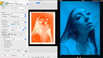 How I Scan My Film Using The Epson V600 In 2020