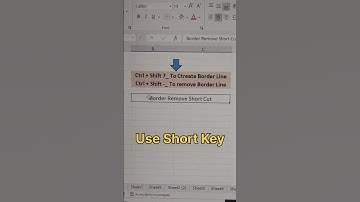 Border Lines ShortTrick 💯 #reels #shorts_ #shorts #excelguru #excel #tallyaccounting #accafees #mnc
