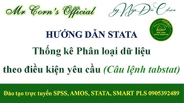 #STATA Hướng dẫn STATA | Thống kê Phân loại dữ liệu theo điều kiện yêu cầu (Câu lệnh tabstat) #Chiến