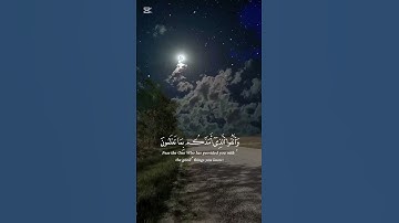 #قرآن #قران_كريم #تلاوة_خاشعة #تلاوة_هادئة #duet #اكسبلور #المصحف #راحة #تيك_توك #صبرو #لايك