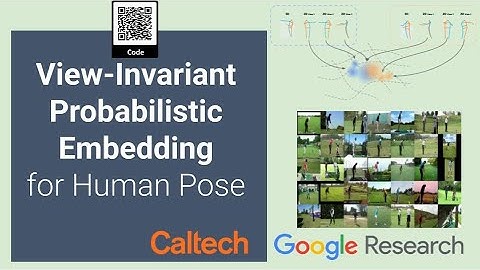 View-Invariant Probabilistic Embedding for Human Pose (ECCV 2020 Spotlight)