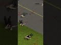 Zombie Bodies Can Still Kill You - Project Zomboid