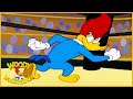 Woody Woodpecker Show | The Contender | 1 Hour Compilation | Videos For Kids