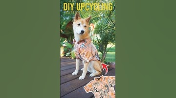 How to Make Pet Clothing | Easy Upcycle Project #diy #sewing #petaccessories #sewingideas #upcycling