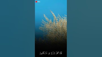 من اجمل واروع تلاوات القارئ الشيخ احمد خليل شاهين