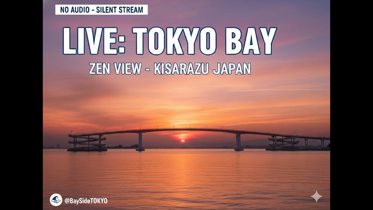 LIVE: Tokyo Bay Zen View - Kisarazu Port, Japan (No Audio) （ライブ：東京湾の景色 - 日本・木更津港 ※無音）