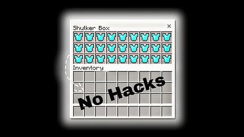 I found Armor Duping Glitch! 🤫(DONUTSMP)