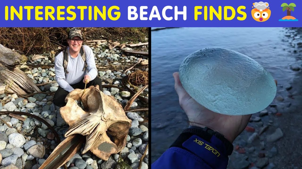 Interesting And Bizarre Things People Found At The Beach 🤯🏝️ | Happy And Fun