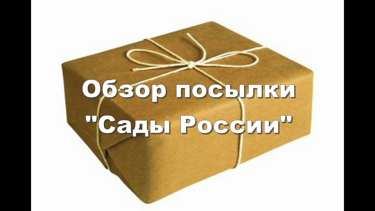 Агросемфонд Интернет Магазин Отзывы Покупателей О Товарах