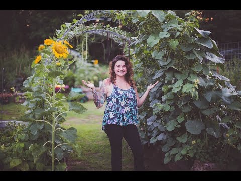 וִידֵאוֹ: What Is A Squash Arch: How To Build A Squash Arch In The Garden