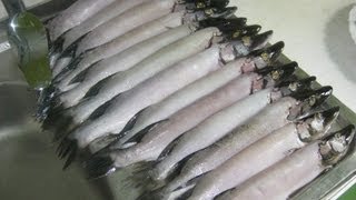 Чистка рыбы при помоши мойки высокого давления Elitech(Чиска рыбы при помощи мойки высокого давления, а так же способ чистки при помощи женских ногтей http://youtu.be/0se2QH..., 2013-06-08T15:03:02.000Z)