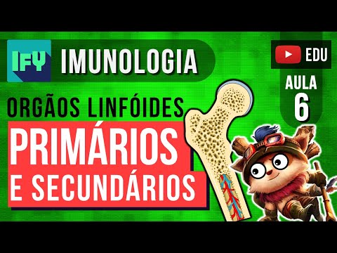 Vídeo: Diferença Entre órgãos Linfóides Primários E Secundários