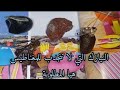 النيازك التي لا تنجدب للمغناطيس هيا المطلوبة الباهضة التمن صدق ولا تصدق بعيدا عن كل الترهات والتضليل النيازك التي لا تنجدب للمغناطيس هيا المطلوبة الباهضة التمن صدق ولا تصدق بعيدا عن كل الترهات والتضليل