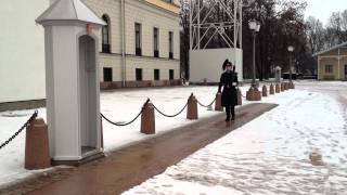 The Norwegian Royal Guard attacked by a lonely dog