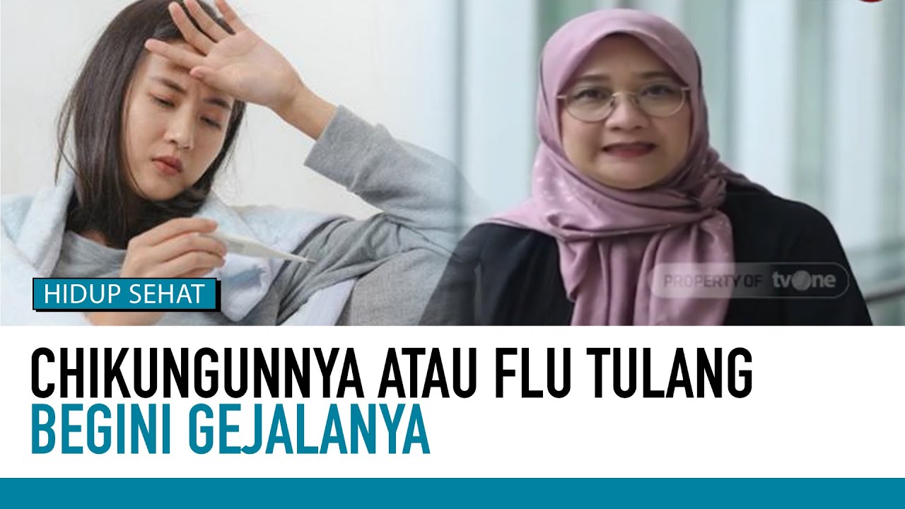 Demam Chikungunya Gejala, dan Penyebabnya | Deteksi Penyakit