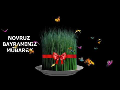 Novruz bayramı üçün (status üçün)  -  Təbrik videosu Novruz status - Novruz Bayrami Tebriki 2024