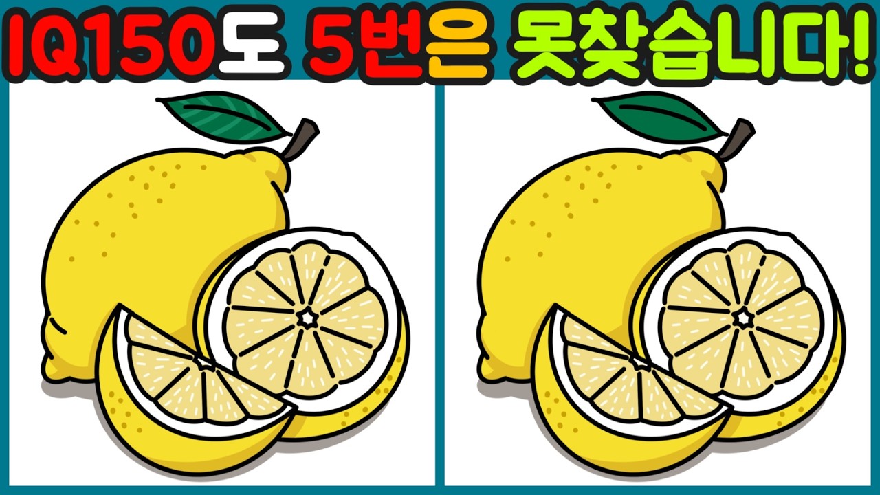 Day52 [다른그림찾기/틀린그림찾기/Find the Difference/치매예방/두뇌훈련] 설날 부모님과 함께하는 두뇌운동 5문제!