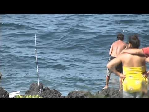 Sharks feast on dead sperm whale in Puna