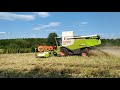 Žatva  2019 | Claas Lexion 660